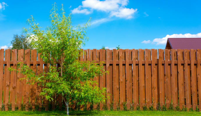 Clean fence