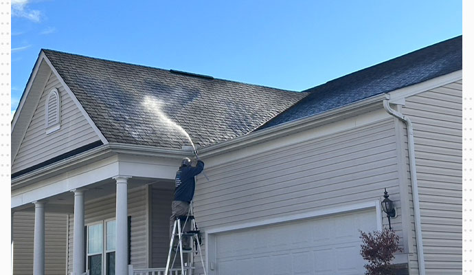 roof soft power washing