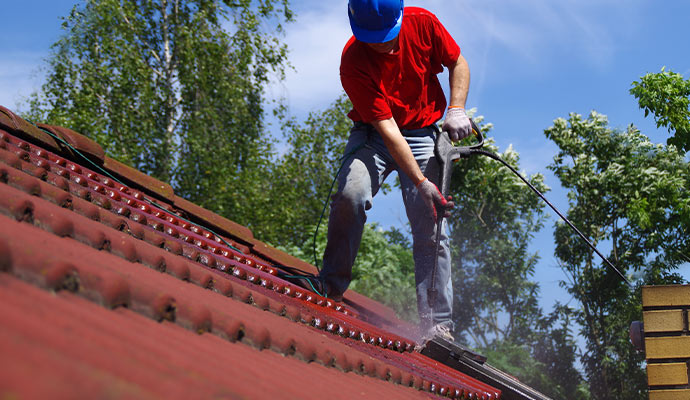 Roof soft washing