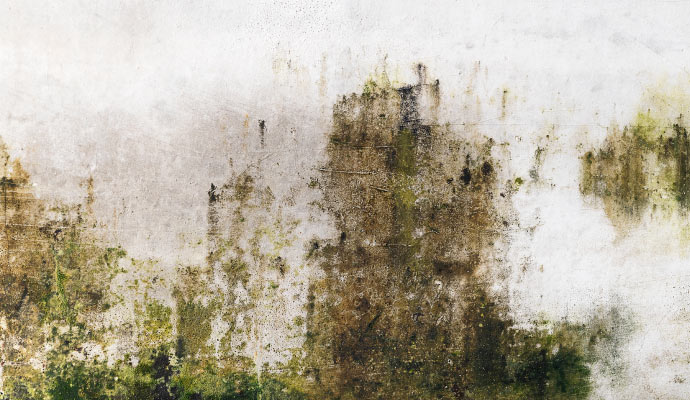 Close-up view of stain on wall